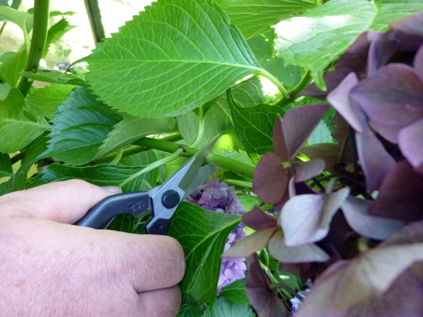 Ножницы Okatsune 207 М00013508/KST207 в Перми 