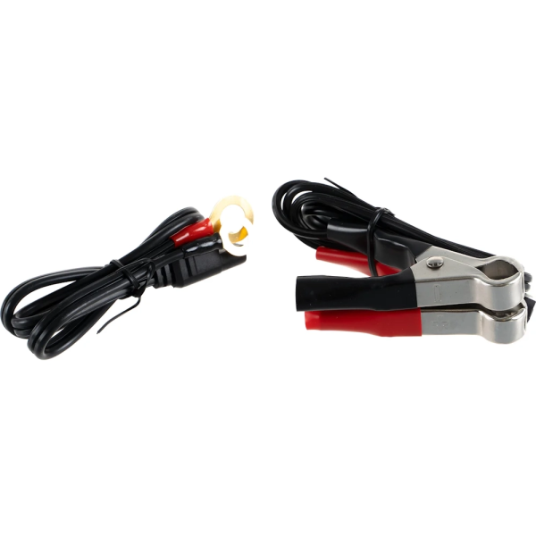 Зарядное устройство  T-CHARGE 20 BOOST 12V/24V Telwin в Перми